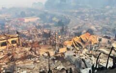 Incendio en Penco-Lirquen afecta bosque nativo donde pretende instalarse minera