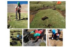 Denuncian a Barrick Gold por incumplir reparación de daños ambientales en vegas