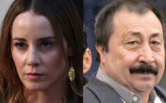 Caso Guzmán: Advierten que error de vocera Sedini podría beneficiar a Apablaza